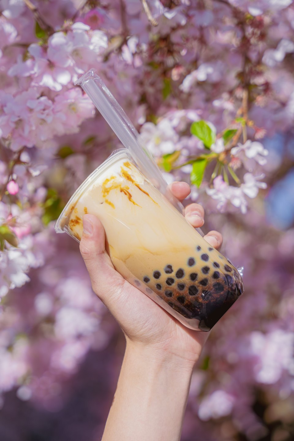 Ruka držící šálek bubble tea pod třešňovými květy.